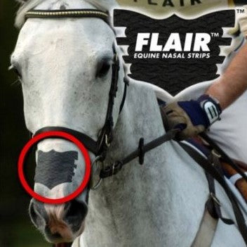 Flair Nasal Strips (black)
